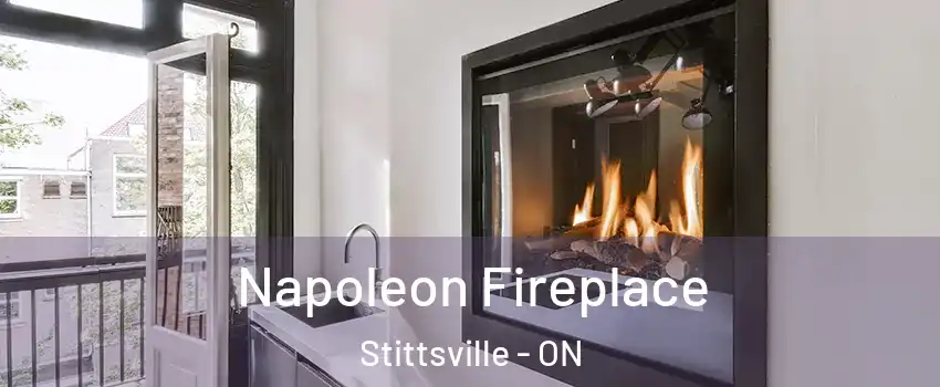  Napoleon Fireplace Stittsville - ON