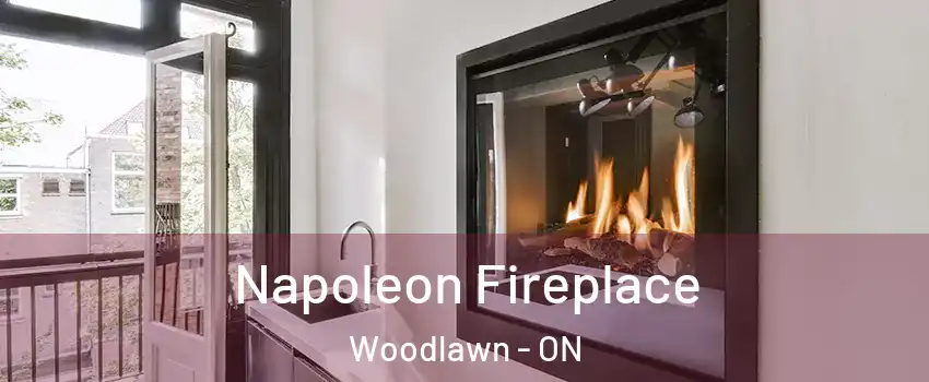 Napoleon Fireplace Woodlawn - ON