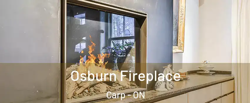  Osburn Fireplace Carp - ON
