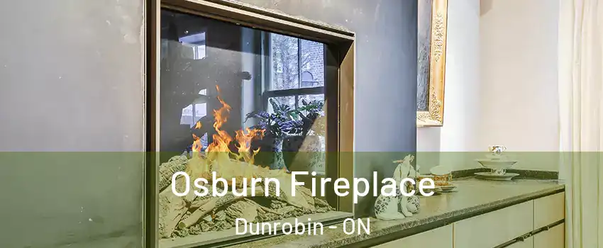  Osburn Fireplace Dunrobin - ON