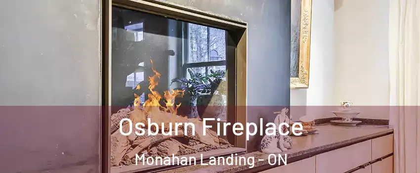 Osburn Fireplace Monahan Landing - ON