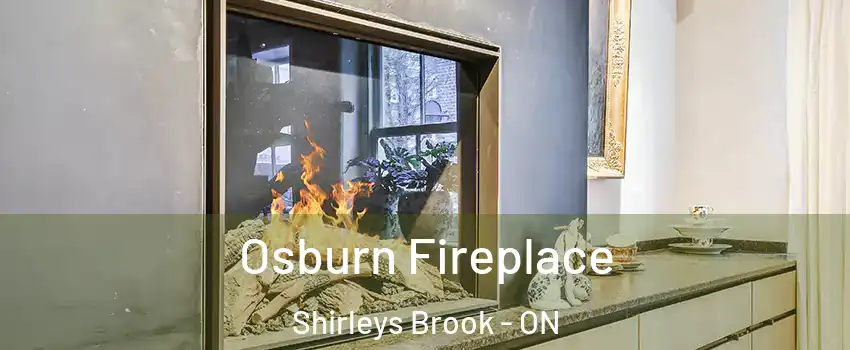  Osburn Fireplace Shirleys Brook - ON