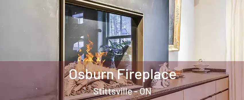  Osburn Fireplace Stittsville - ON