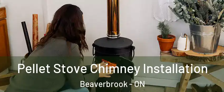  Pellet Stove Chimney Installation Beaverbrook - ON