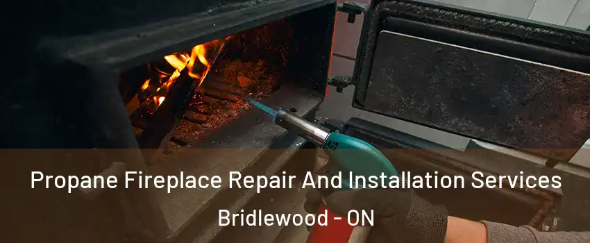  Propane Fireplace Repair And Installation Services Bridlewood - ON