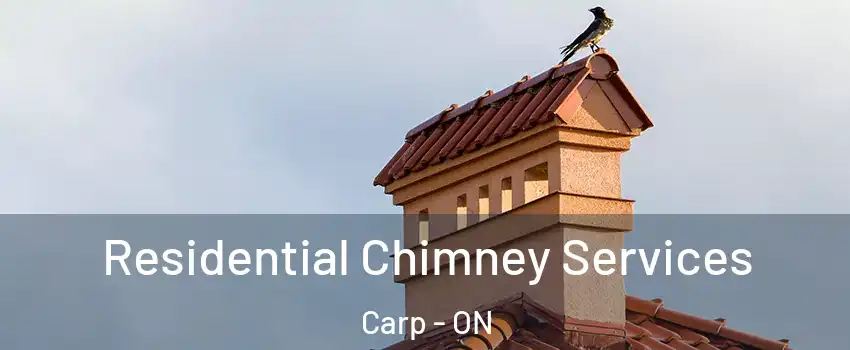  Residential Chimney Services Carp - ON