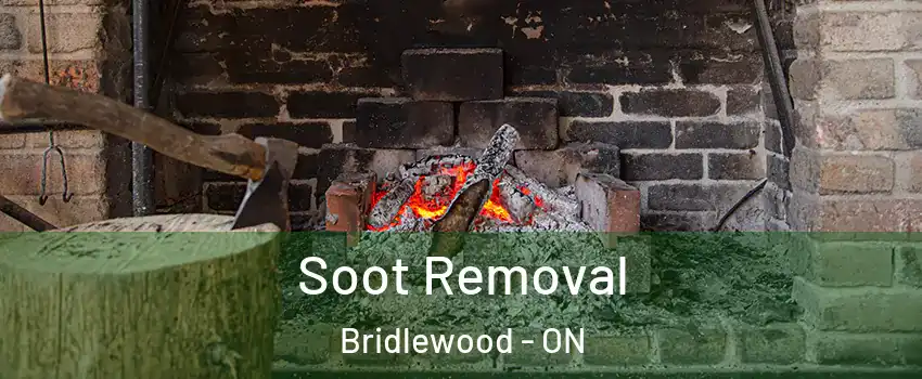  Soot Removal Bridlewood - ON