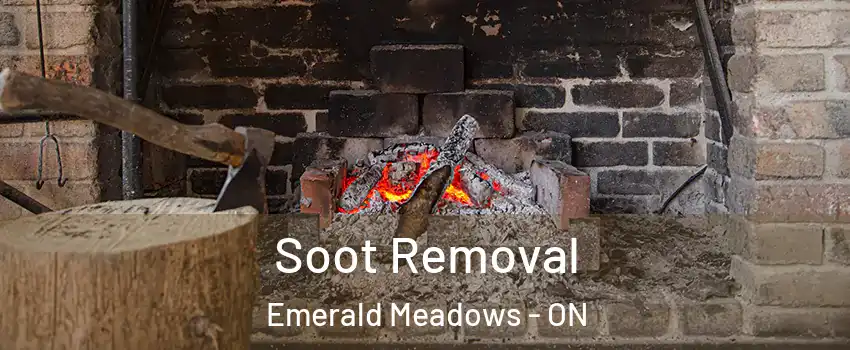  Soot Removal Emerald Meadows - ON