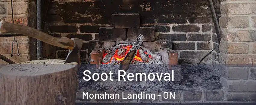  Soot Removal Monahan Landing - ON