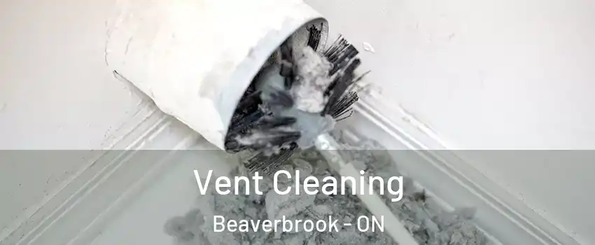  Vent Cleaning Beaverbrook - ON