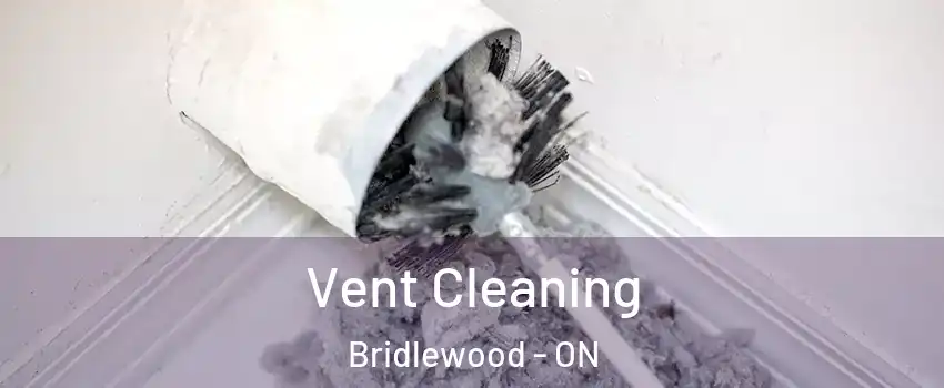  Vent Cleaning Bridlewood - ON