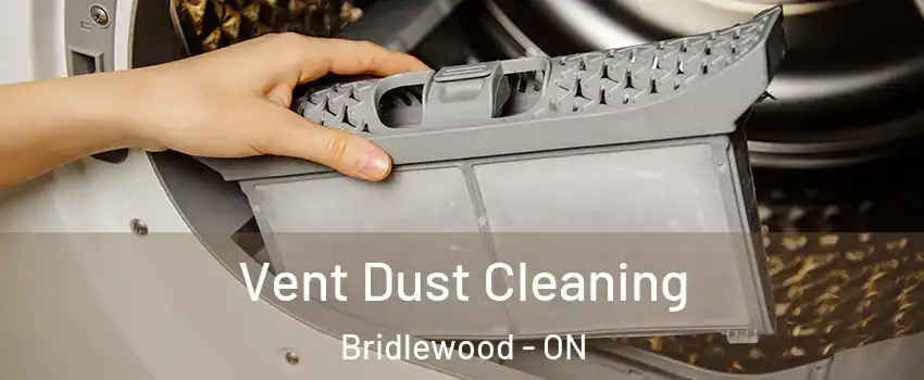  Vent Dust Cleaning Bridlewood - ON