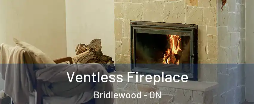  Ventless Fireplace Bridlewood - ON
