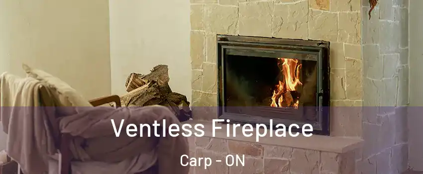 Ventless Fireplace Carp - ON