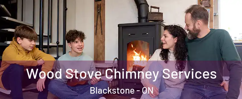  Wood Stove Chimney Services Blackstone - ON