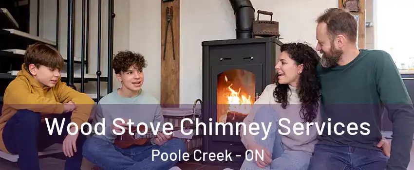  Wood Stove Chimney Services Poole Creek - ON