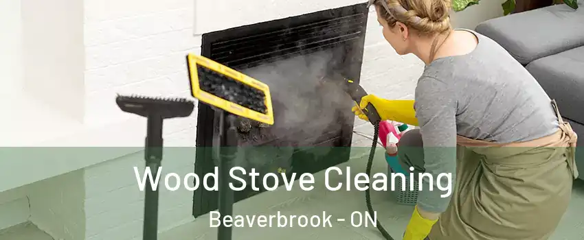  Wood Stove Cleaning Beaverbrook - ON