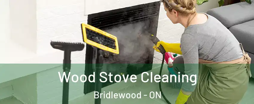  Wood Stove Cleaning Bridlewood - ON