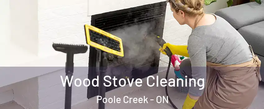  Wood Stove Cleaning Poole Creek - ON