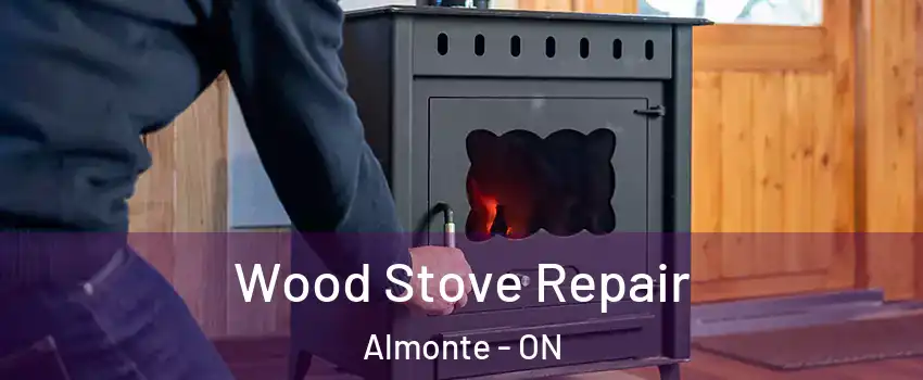  Wood Stove Repair Almonte - ON